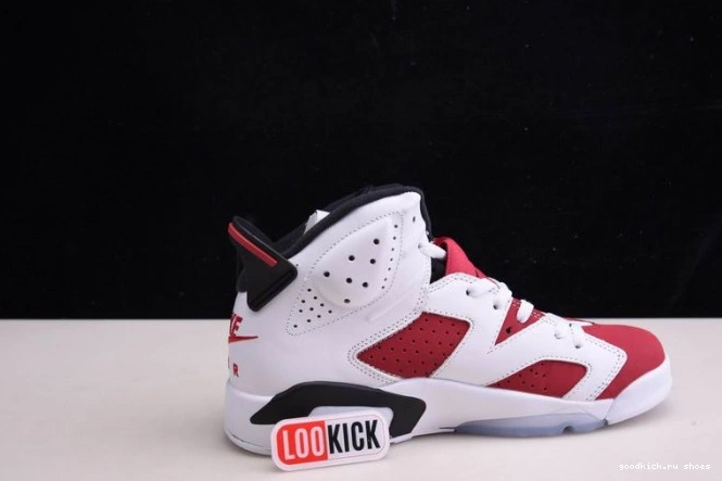 Rep 6 'CARMINE' JORDAN RETRO CT8529-106 2021 AIR 0825